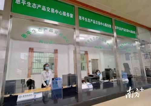 綠水青山變金山銀山 恩平生態(tài)產品交易中心成立，家政服務助力生態(tài)價值轉化